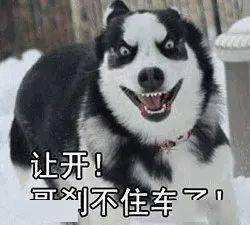 5ab2460be297493ba25e62b54911c48a.jpeg