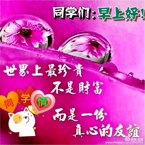 8张最新冬日创意暖心的老同学问候祝福语图片带字温馨