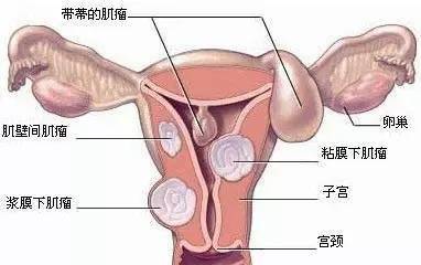 65a6a321aeda418583060a79baf72ad3.jpeg