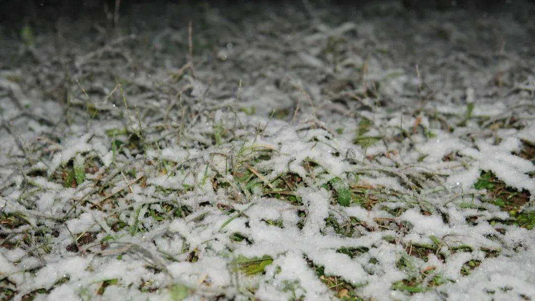 初雪| 岁末将至 敬颂冬安