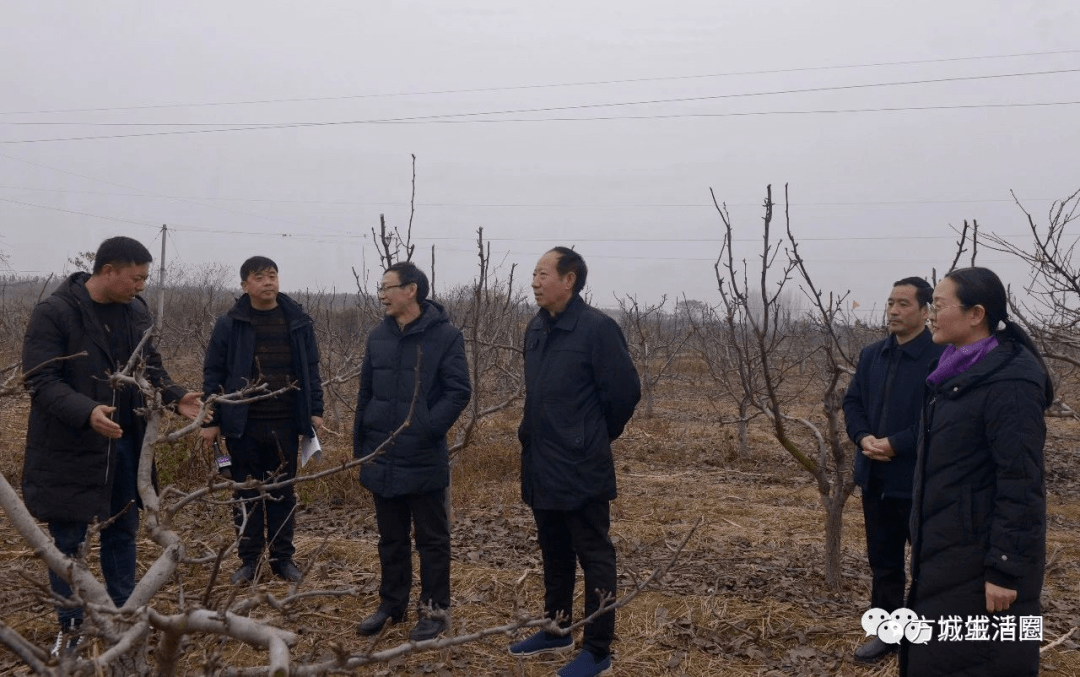 南阳市方城县经济总量_南阳市方城县范真真(2)