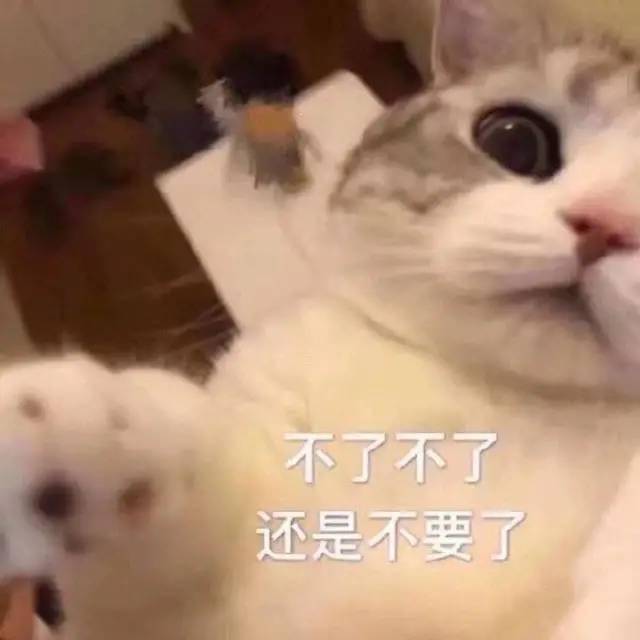d698e78cd3934a788d6a92153e97ef0f.jpeg