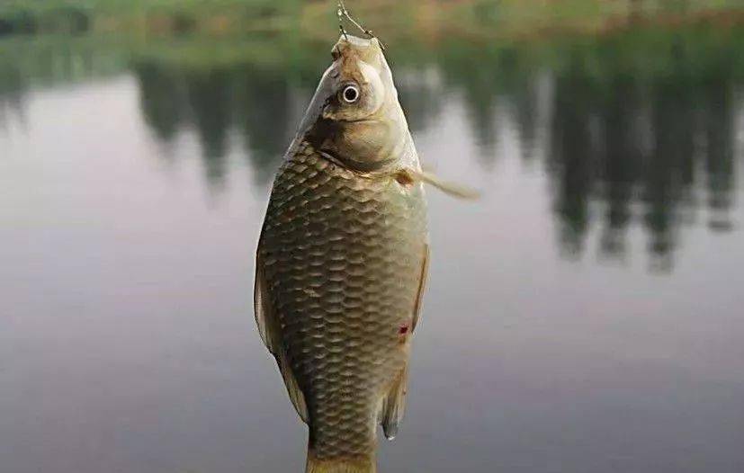 dd96eeb6c9d945959e557a19b00fbbe9.jpeg