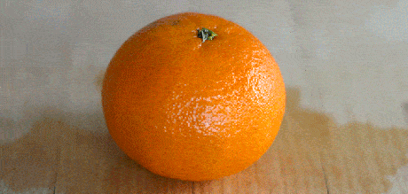 e1291cd419f0458eb34665372b2d14eb.gif