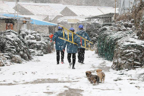 威海迎来今冬首场大范围降雪