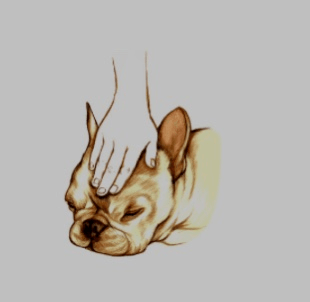 4f1aa40e2d7d4adfbeef70c015a1c431.png