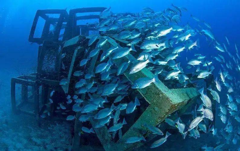 龙口又增添了一处"可游玩的海洋牧场"!