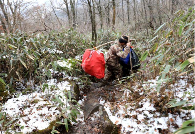 龙王山巡山人，每天“自虐线”八小时，只为保