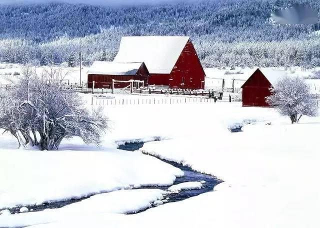 技巧| 这个冬天,一定要拍几张美美的雪景_画面