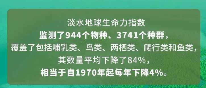 解读2020地球生命力报告我们可能是最后一代能拯救局面的人