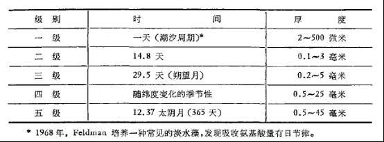 变化|震惊，一年竟有424天！