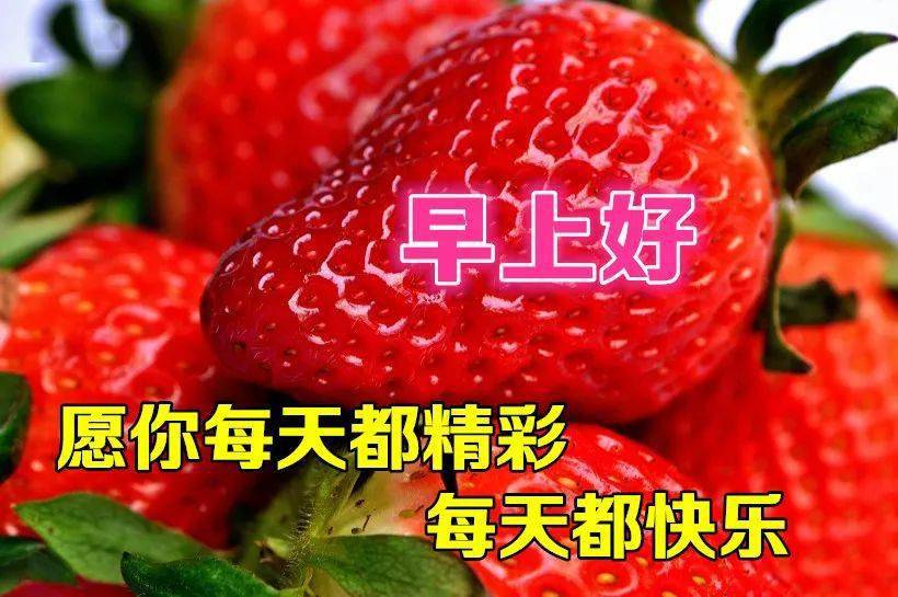 早上好问候美图早安问候语句