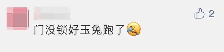 四子王旗|“嫦五”回家，没想到第一个找到的竟然是它？