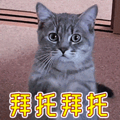 表情包老头好啊老头有低保