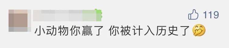 四子王旗|“嫦五”回家，没想到第一个找到的竟然是它？