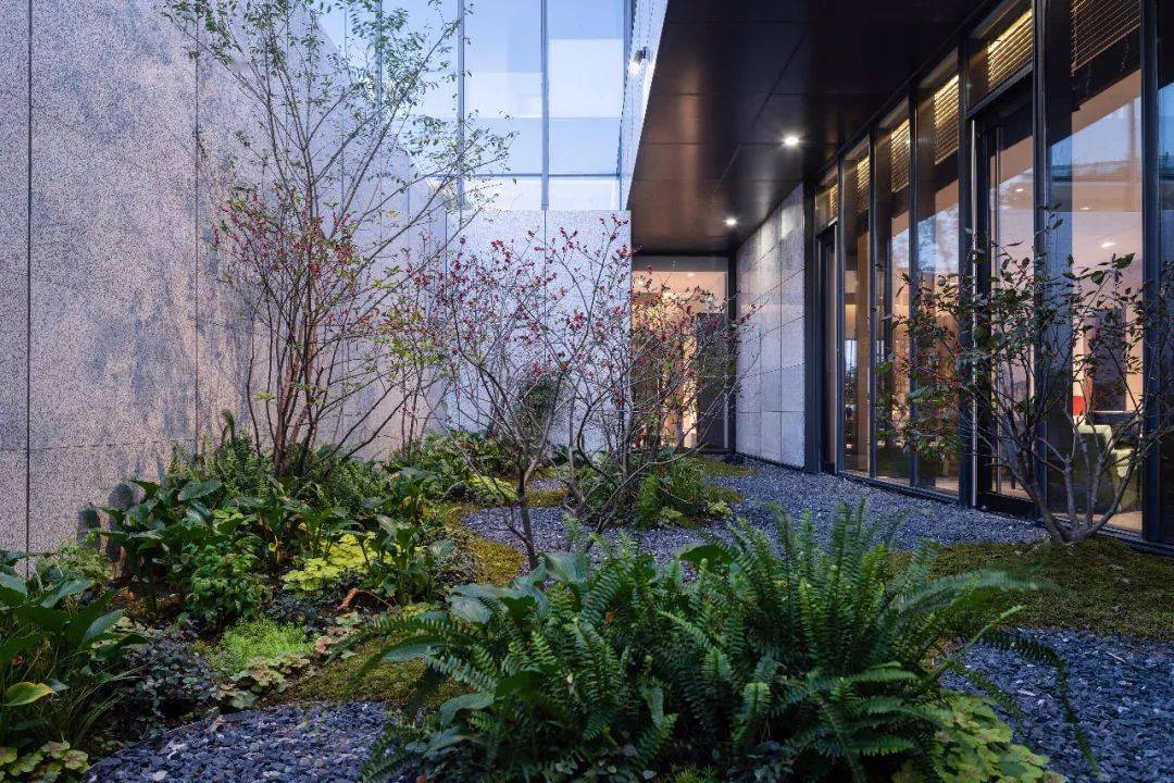 杂木与光影 江边林,取义江边片植的杂木,为生活馆建筑东向的庭院