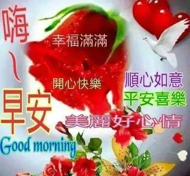 天冷了微信群发早安问候图片,新版冬天天冷了的早上好快乐短信祝福语