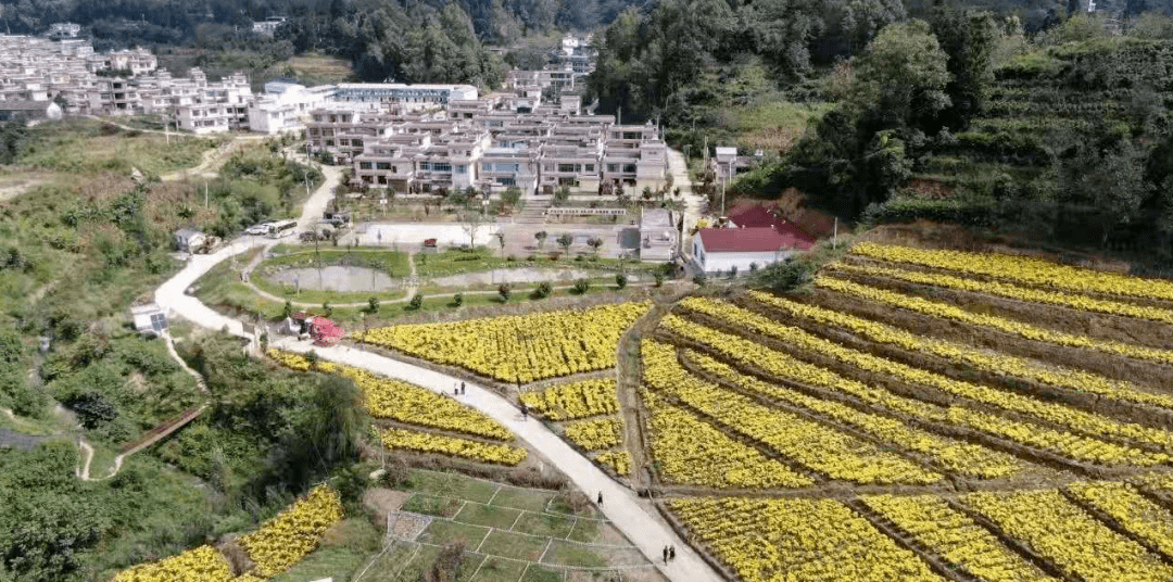 乡村旅游看临沧丨凤庆:乡村旅游助力乡村振兴