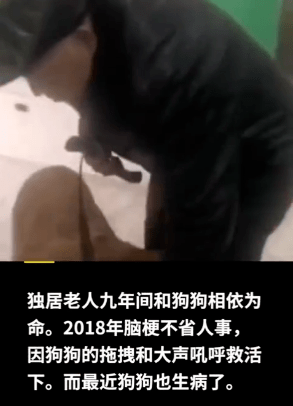 没钱给狗狗治病怎么办