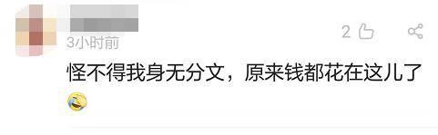 微信|微信年度账单出炉，朋友圈纷纷开晒，这些数字看完羡慕了……
