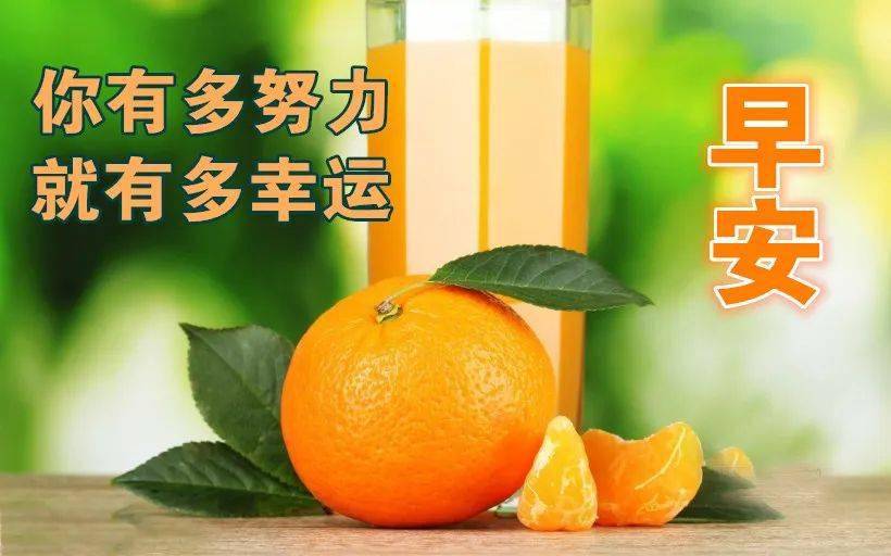 温馨的早晨问候语优美短句,浪漫的早安祝福语带鲜花图片