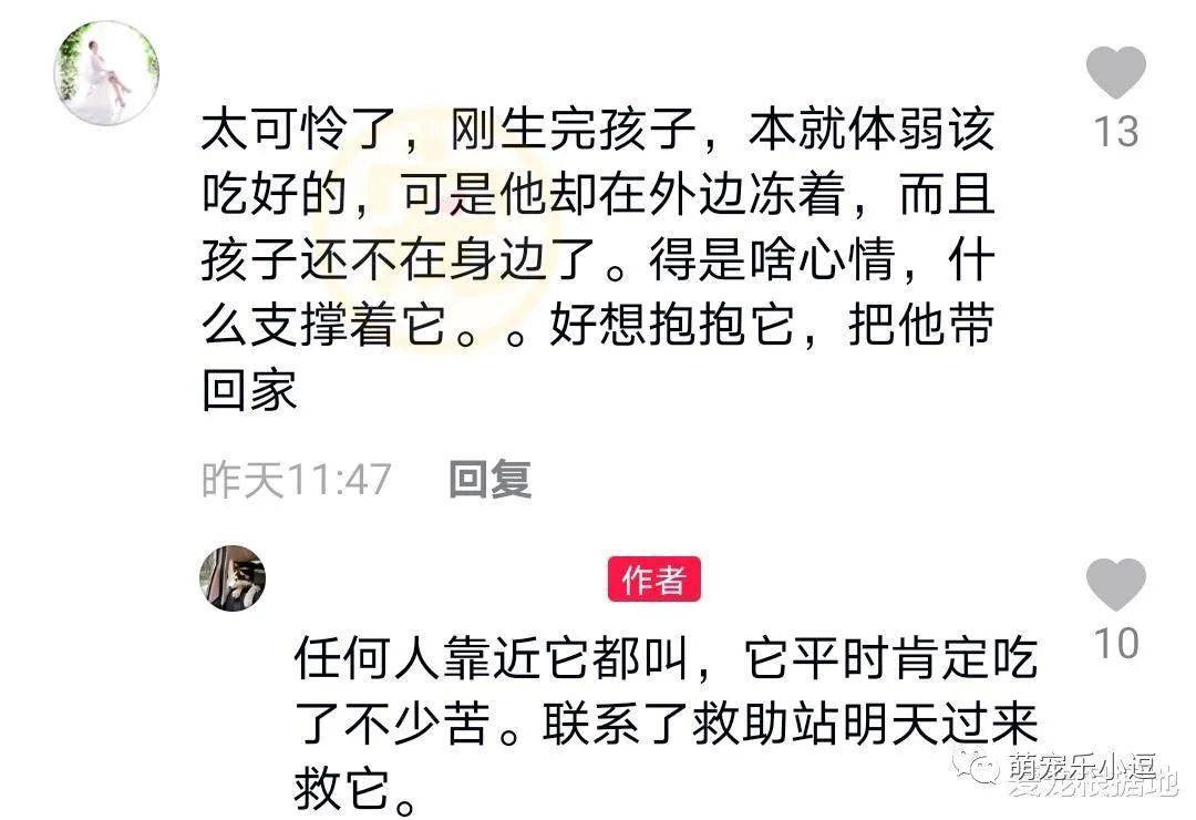 冰天雪地曲谱_冰天雪地图片(2)