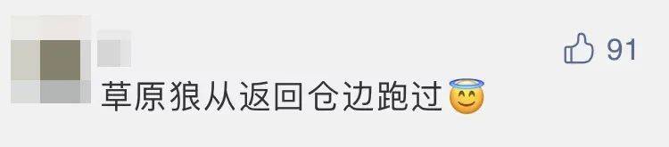 四子王旗|“嫦五”回家，没想到第一个找到的竟然是它？