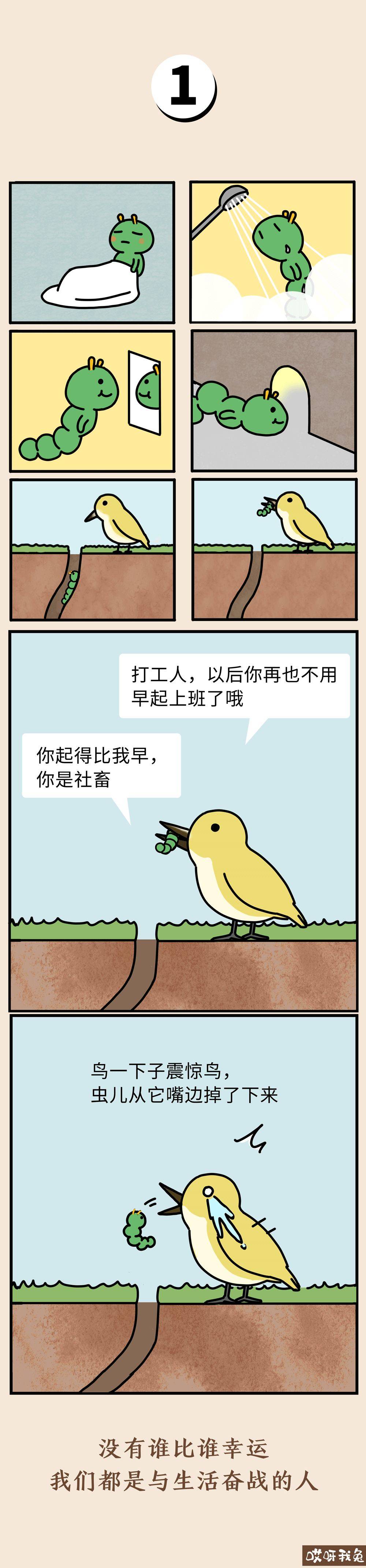 我就是早起被鸟吃的虫子,但我反转了命运