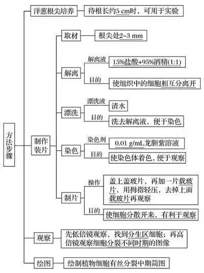 高中体育教案模板范文_高中生物教案范文_高中英语听力教案范文