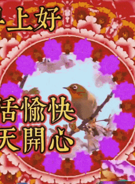 435_595竖版 竖屏gif 动态图 动图