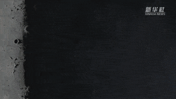 杨志刚|回家，是为了下一次出发