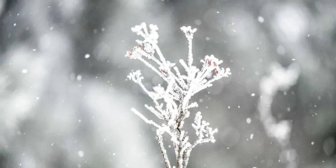 纪念这初雪的时刻也纷纷拍照留念发朋友圈第一时间发现的小伙伴泳溪