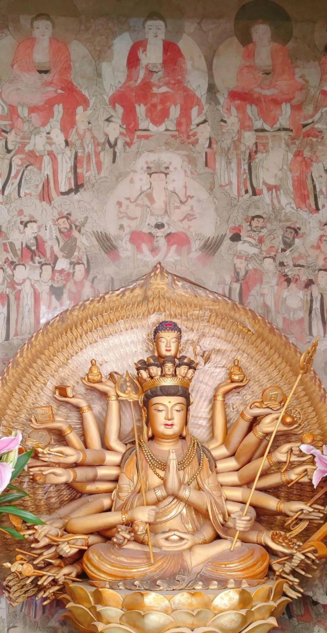 在冬日清晨的法雨寺,感受普陀山当下的美好