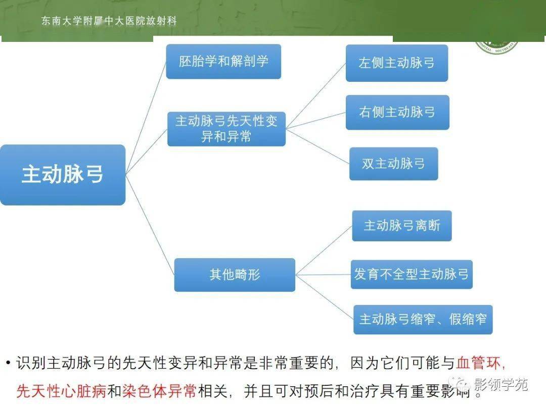 主动脉弓先天变异和异常影像表现