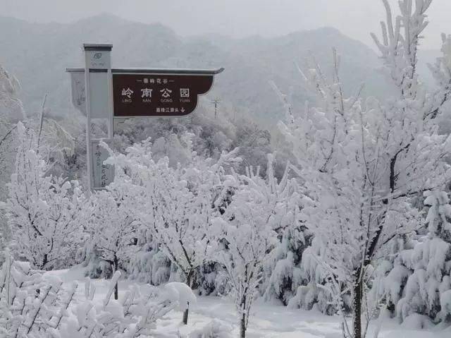 推荐丨你被秦岭雪景刷屏了吗?凤县给您最全赏雪攻略