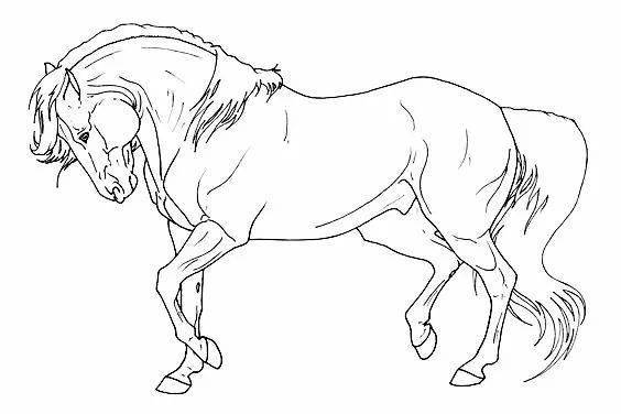 线稿素材动物类线稿马的各种动态造型线稿