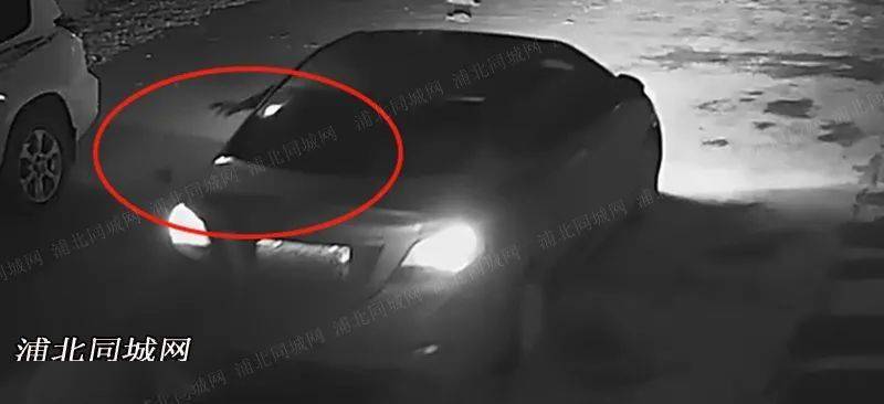车窗内伸出一只手,并将"不明物"丢出窗外