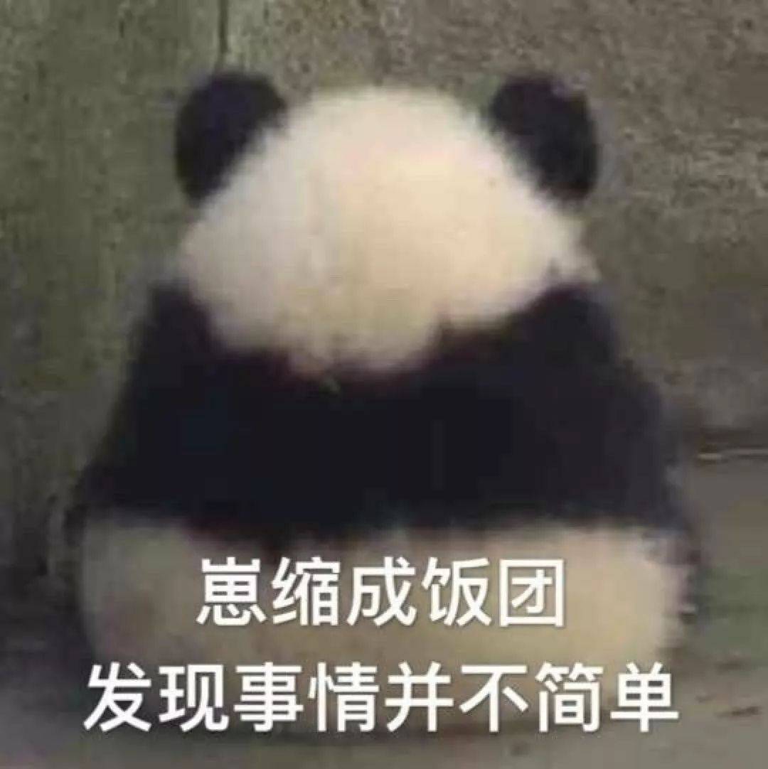 9a529f4f995d47739cef7905f31d51ff.jpeg
