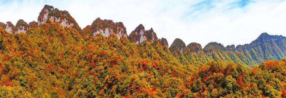 四川稻城亚丁,光雾山拟评5a级景区_旅游