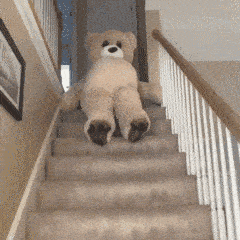 那只霸屏了我表情包的跳舞熊同款,又结伴蹦哒到了?(文