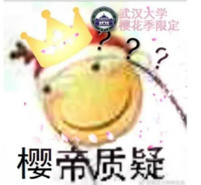 质疑,不仅仅是满屏问号,满屏樱花也可以是带来全新感受.