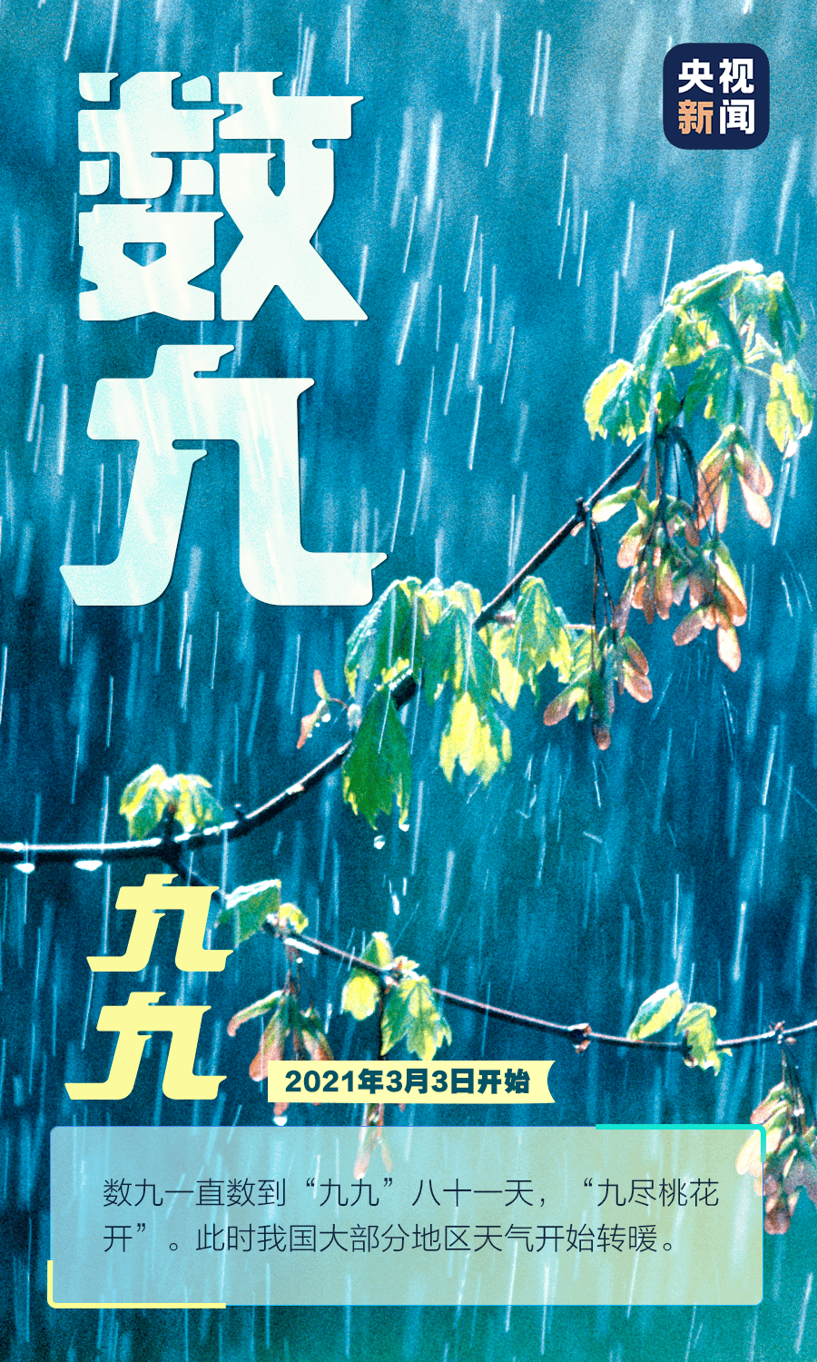e3c002bc9fc4416ba6bebc1113a8a6ba.png