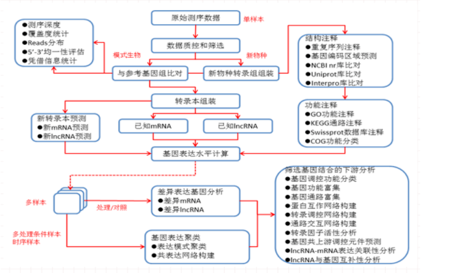 流程此外,基因组甲基化会影响到基因的转录调控,也属于转录调控测序