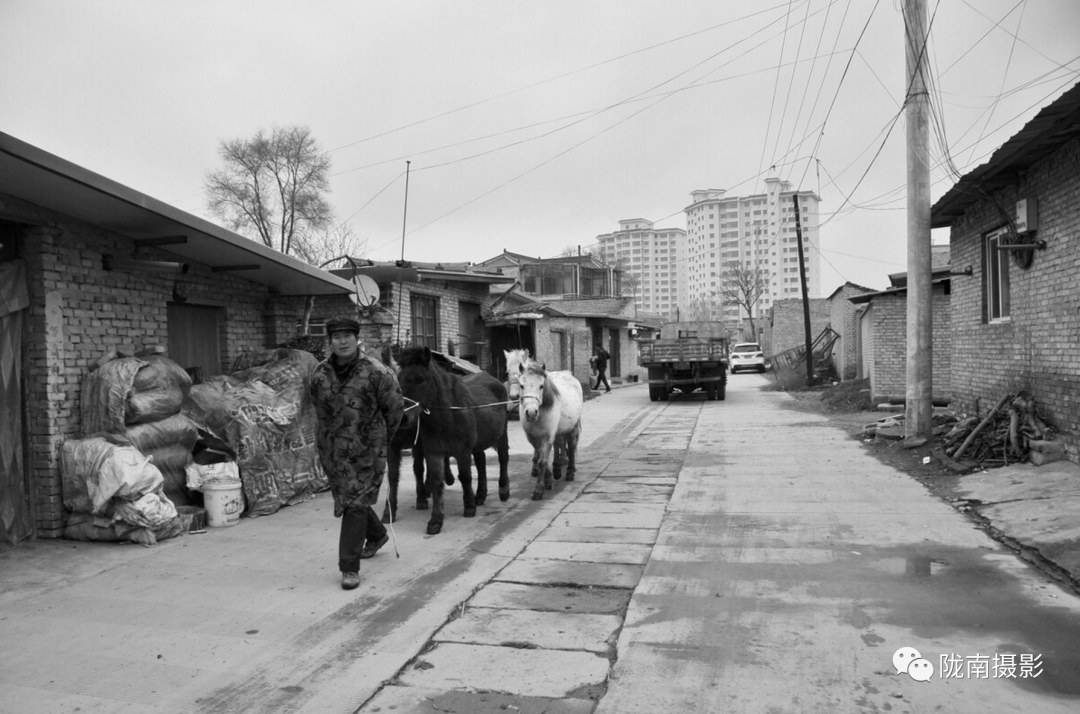 石顺文丨甘肃礼县盐官骡马交易市场