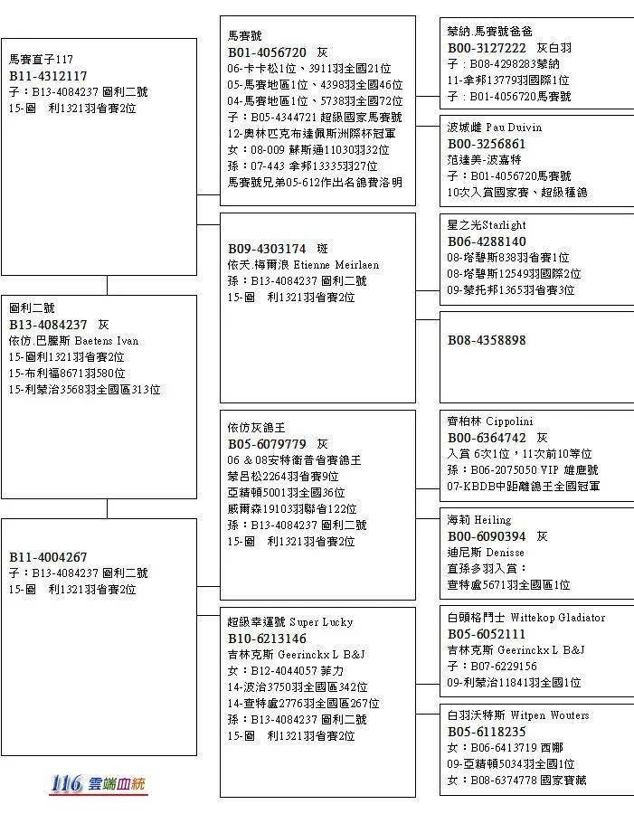 以收藏名血著名的他舍内拥有5羽超长距离鸽王全国冠军