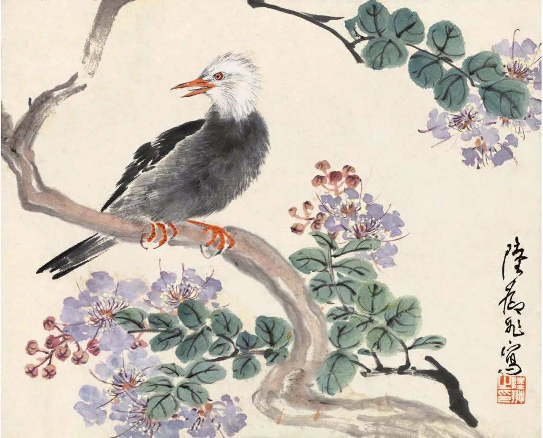 陆抑非：造型从写生中得来_花鸟画