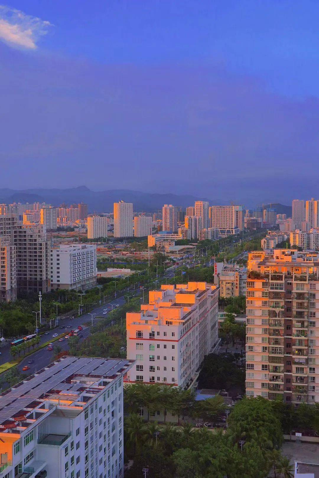 玫瑰都市人口_首尔都市圈人口(3)