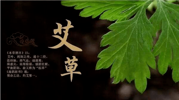 f17d8c9dbced41cfa3e166979ab0ec00.png