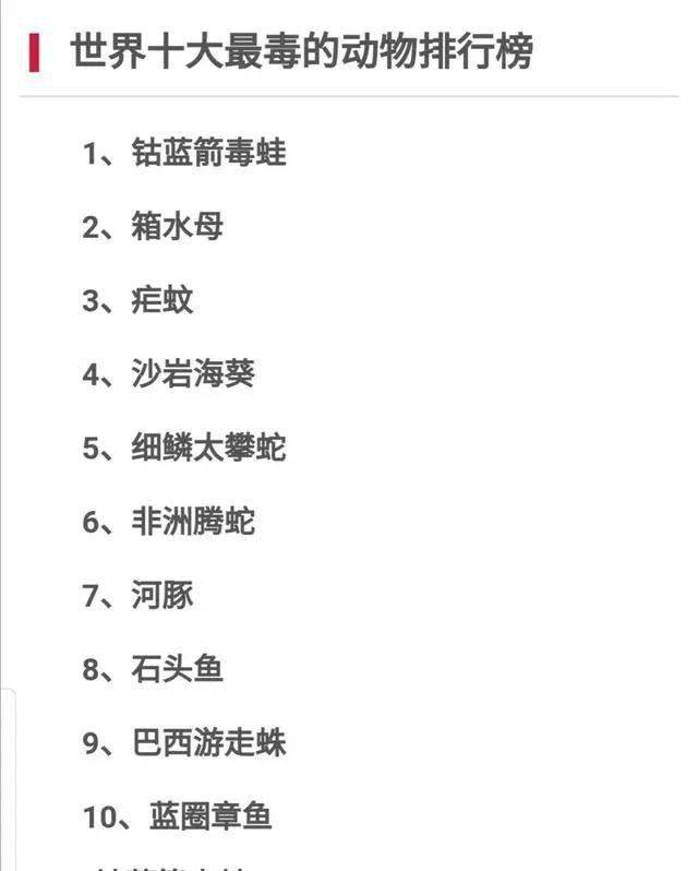 毒性排名_世界蜘蛛毒性排名