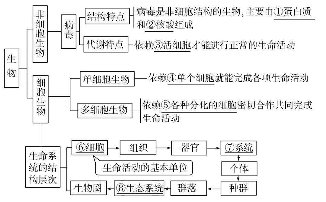 高考生物一轮复习 | 分子与细胞思维导图专题汇总汇总